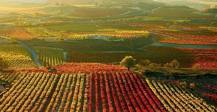 El hábitat del Rioja