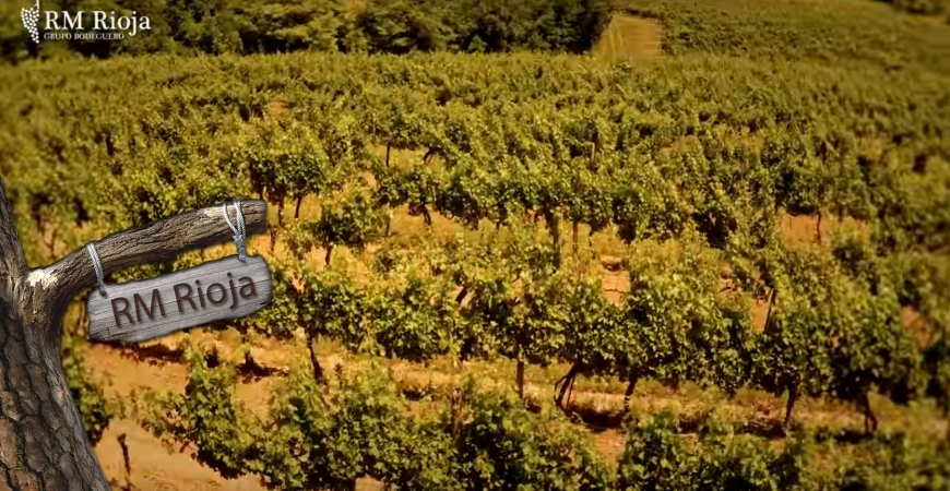 Este año 25% menos de cosecha, aún así RM Rioja te baja los precios del vino.